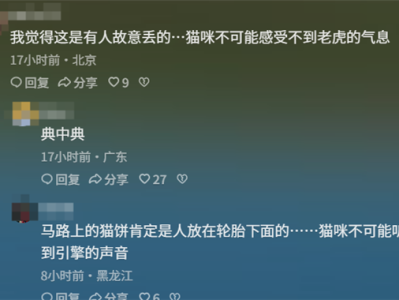 青海一动物园狸花猫误入虎园被咬死 园方回应：非人为携带 ！