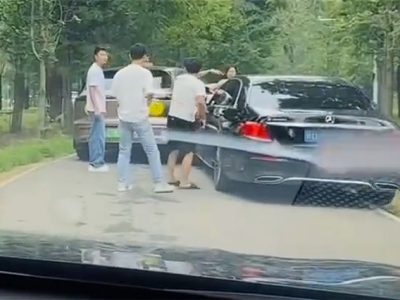 野生动物园里两车剐蹭多人下车争论：两只白虎一旁强势围观 !