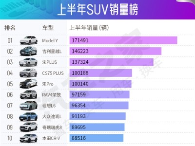 2025年上半年SUV中国销量TOP10出炉：特斯拉Model Y夺冠 !