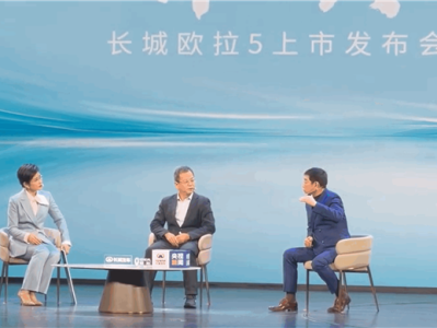 魏建军：隐藏式门把手风阻降了0.001但增重8公斤 后来我们就不用了 ！