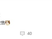Pura 80系列最便宜版本！华为Pura 80标准版月底开卖 ！