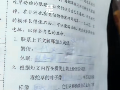 小孩哥作业被热没了崩溃大哭 全怪这种笔 遇高温字迹消失 !