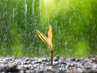 新一轮降雨今起将影响北方地区：时间长 雨量大 !