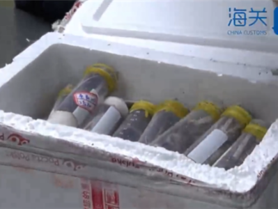 “女士上衣”快递被截获 打开大吃一惊：7400只蚂蚁 ！