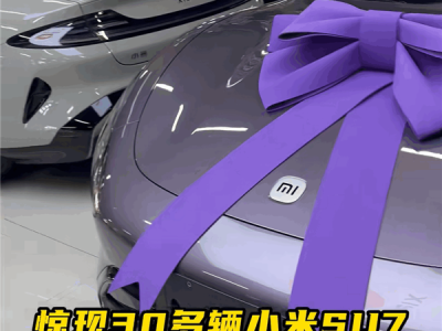直播间惊现大量小米SU7零公里2手车 车商：不用等车 2小时就能过户 ！