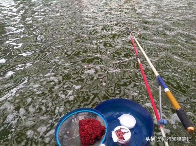 冬天钓鱼用什么饵料（冬季钓鱼的用饵技巧都有哪些） ！